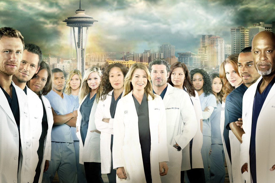 The cast of American medical drama series Grey's Anatomy