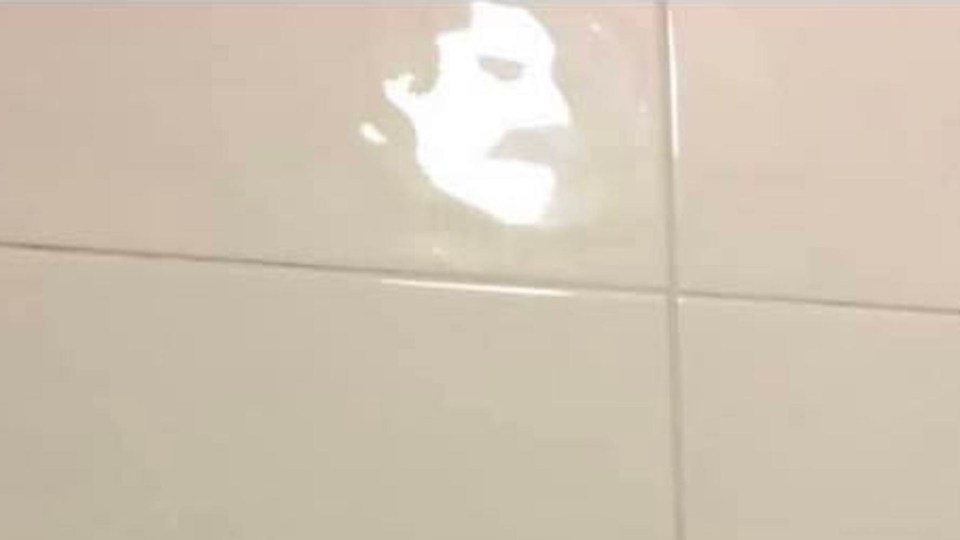 Freddie Mercury’s face appeared on Louise Keirnan’s bathroom tiles