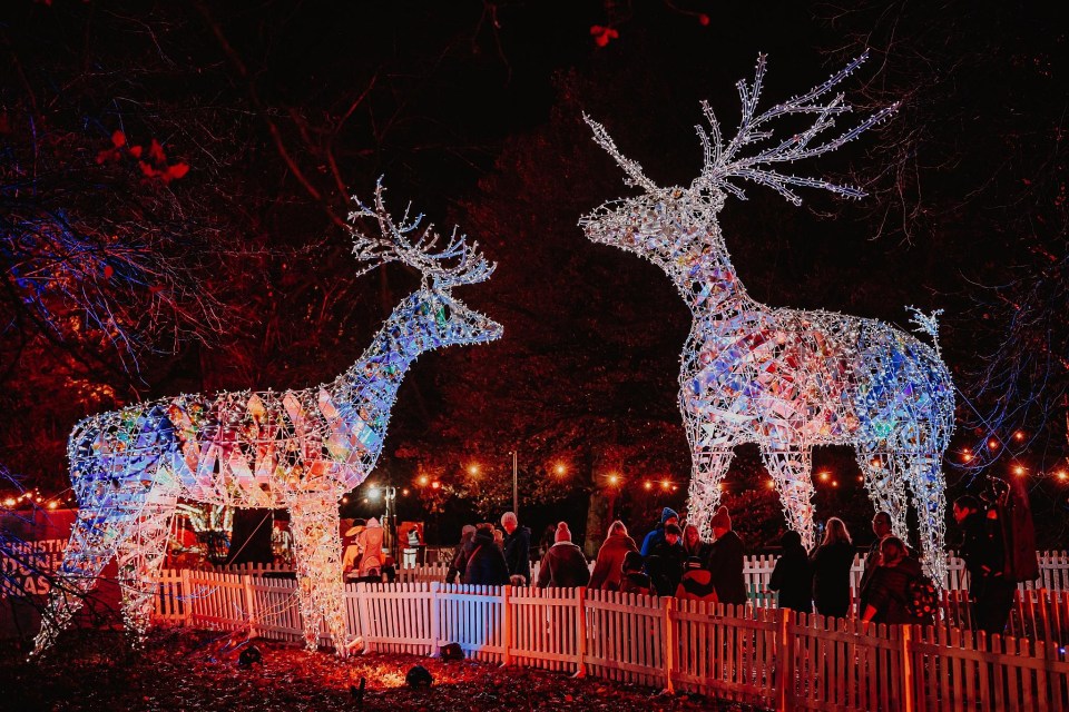 Life-size illuminated deer are aglow at Auckland Castle in County Durham