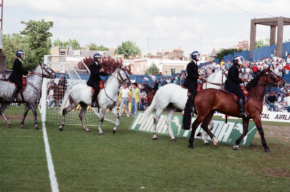 Horses stormed onto the pitch after the game