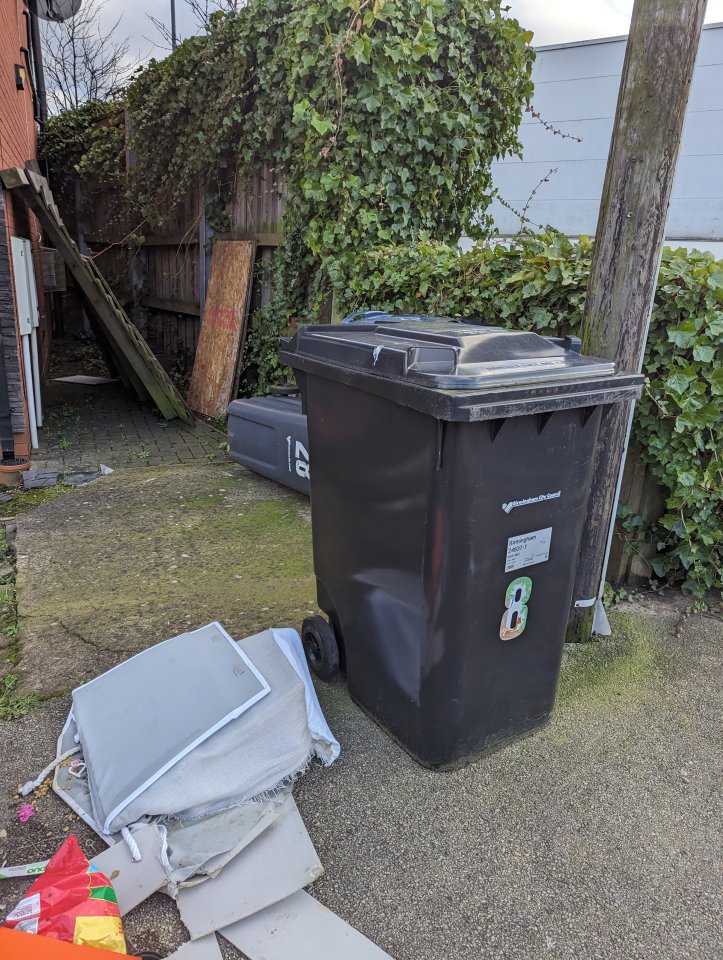 A dying dog was found beside a bin behind a supermarket in Birmingham