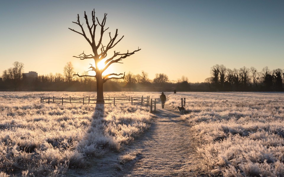 Cold weather payments are issued to households experiencing freezing temperatures