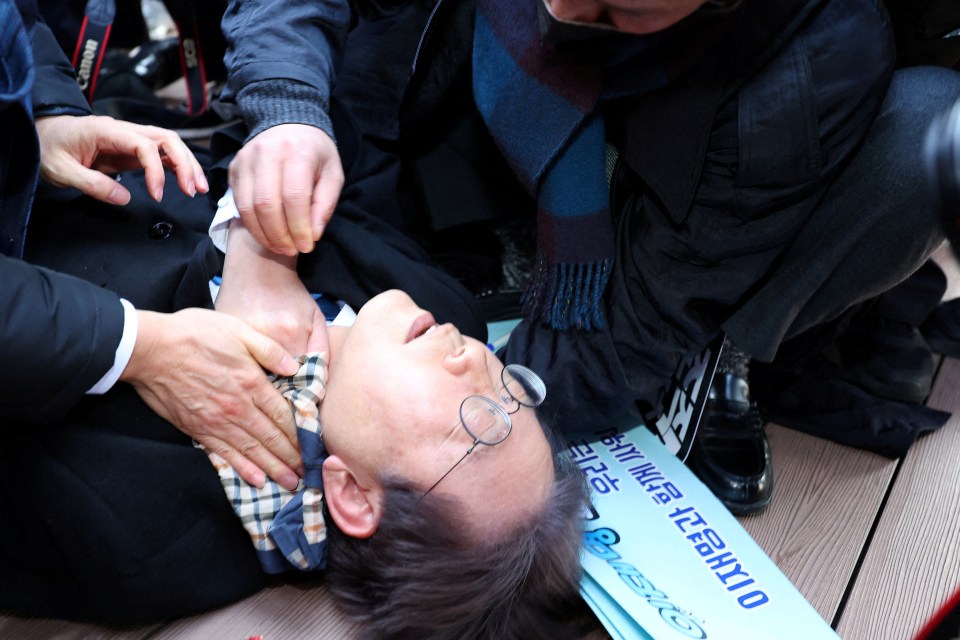 Lee, leader of the main opposition Democratic Party, was stabbed in the neck