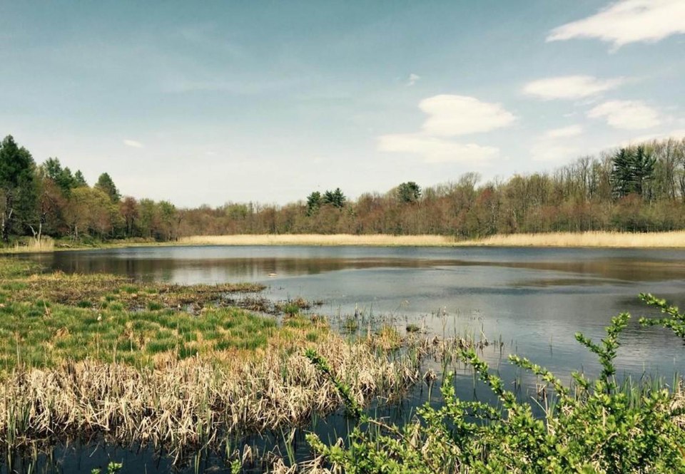 A fishing pond can provide endless hours of fun for visitors