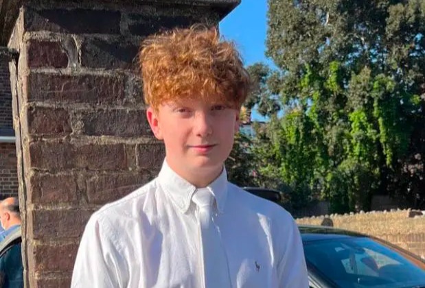 Harry Pitman, 16, was killed on Primrose Hill in Camden