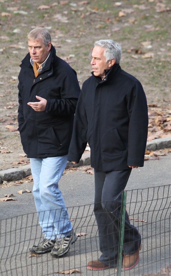 Prince Andrew- pictured with Epstein in New York- has denied any wrongdoing