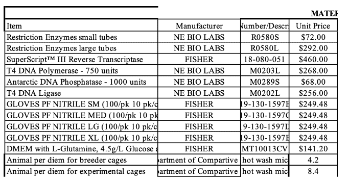 The order for the enzymes found in the genetic make-up of SARS-CoV-2