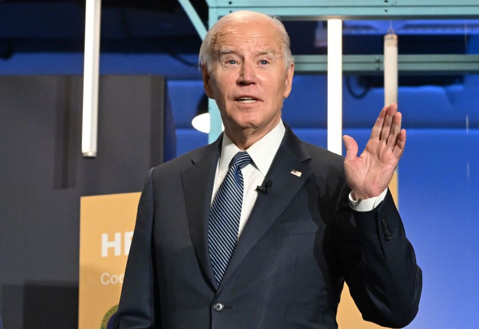 US President Joe Biden confirmed the west had launched missiles