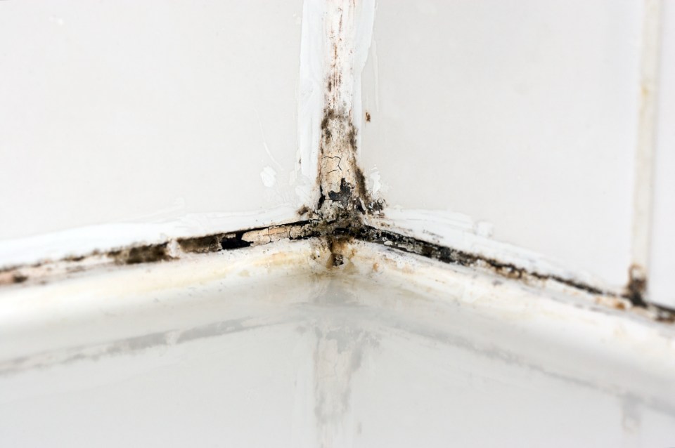 It can be quite obvious if your home is infested with mould, but sometimes the spores can sprout unbeknown to you and cause telltale symptoms