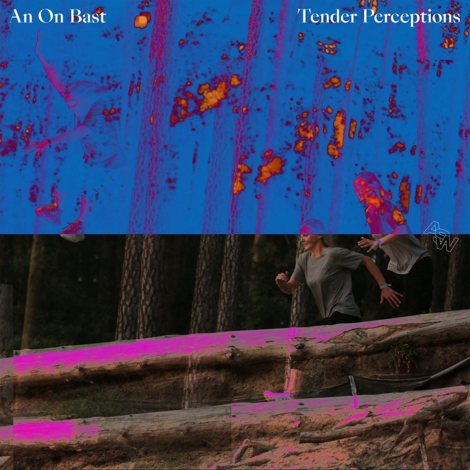 CLICK THE ALBUM ARTWORK TO STREAM AN ON BAST - TENDER PERCEPTIONS ON SPOTIFY