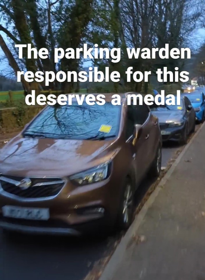 A traffic warden slapped parking fines on 60 vehicles in a row