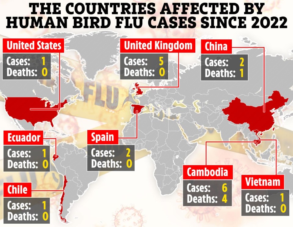 Each human bird flu case and death from January 2022 – December 2023