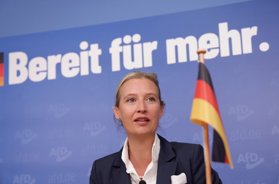 Alice Weidel, co-leader of the right-wing Alternative for Germany (AfD) party