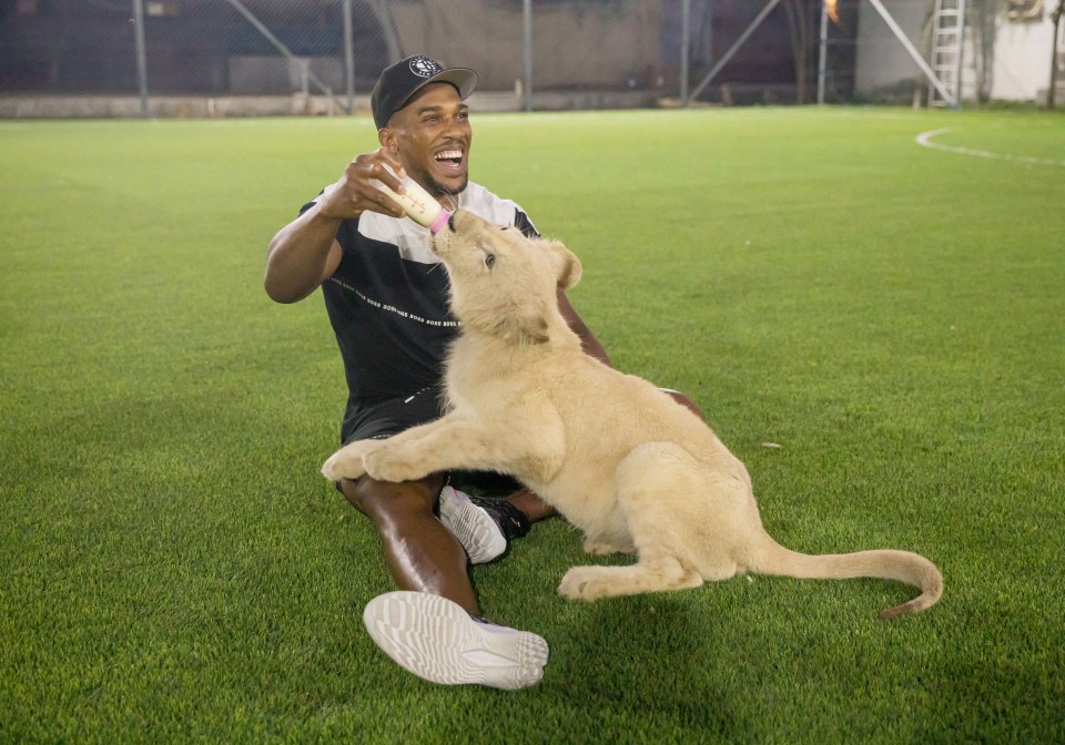 Joshua joined the cub for some up-close feeding time