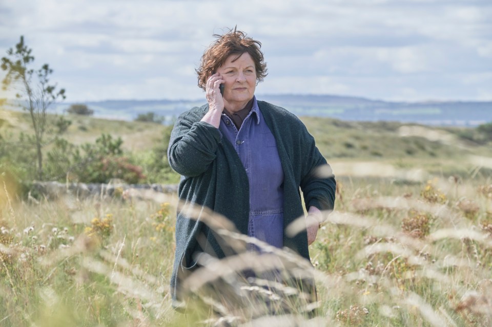 Vera star Brenda Blethyn has cast doubt on the future of the beloved series