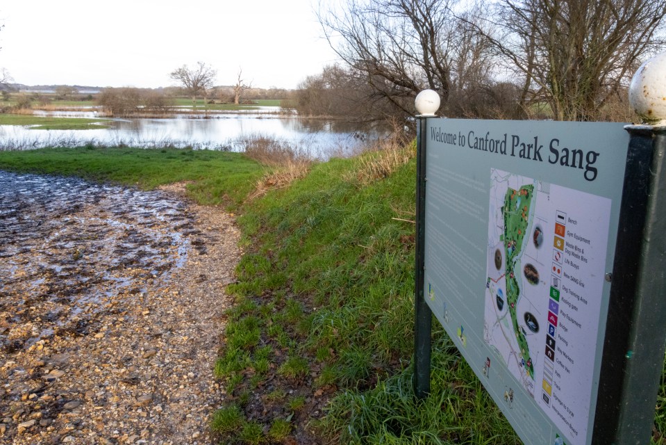 Rachel was on a 10km run in Canford Park when the dog attacked