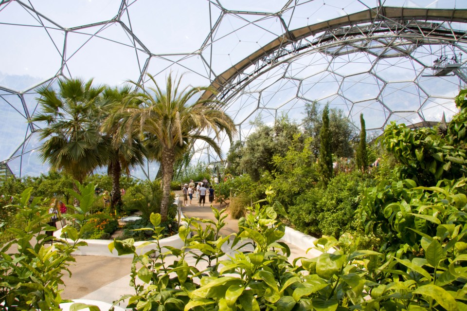 The Eden Project in Cornwall is hosting a science celebration next month