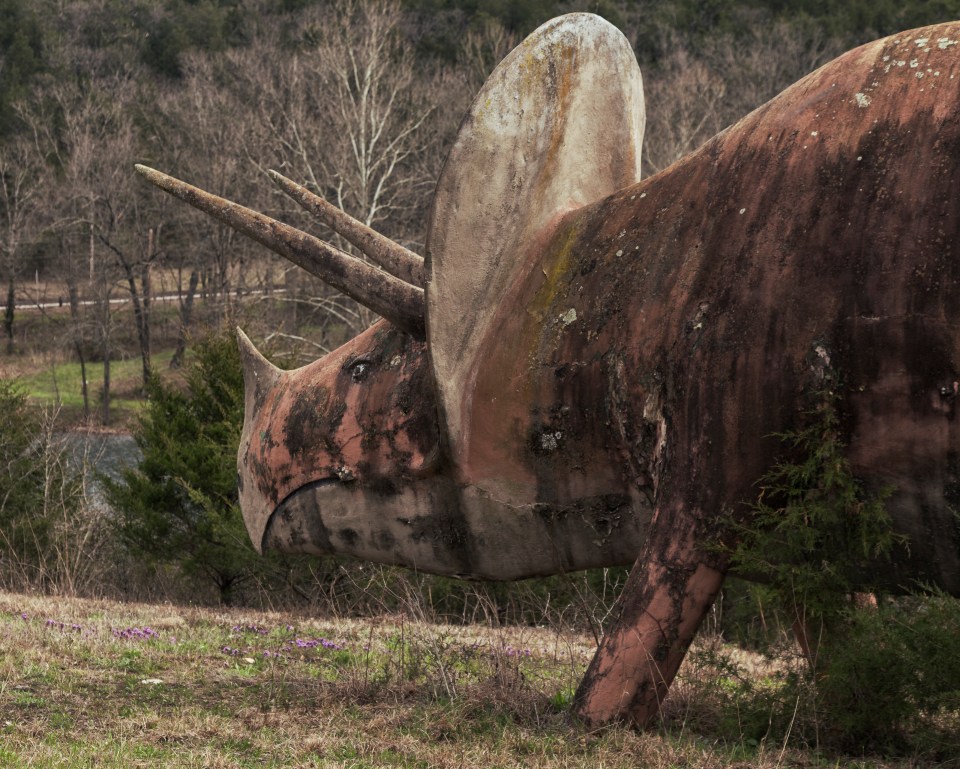 The huge beasts keep a watchful eye on the park