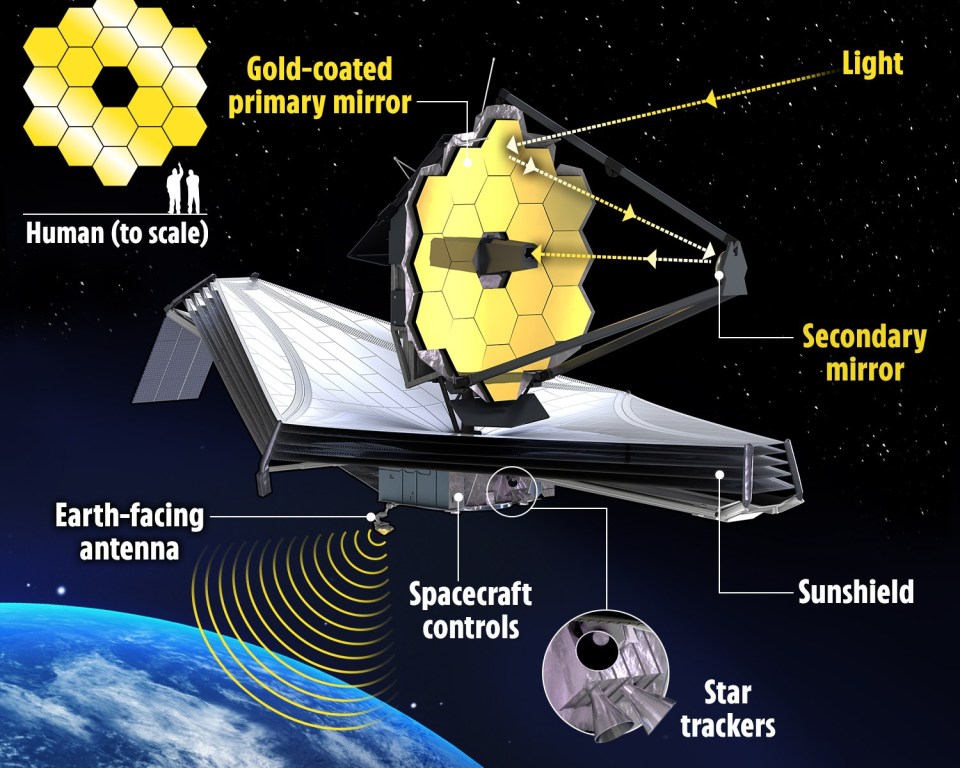 Discovery was made thanks to the James Webb Space Telescope