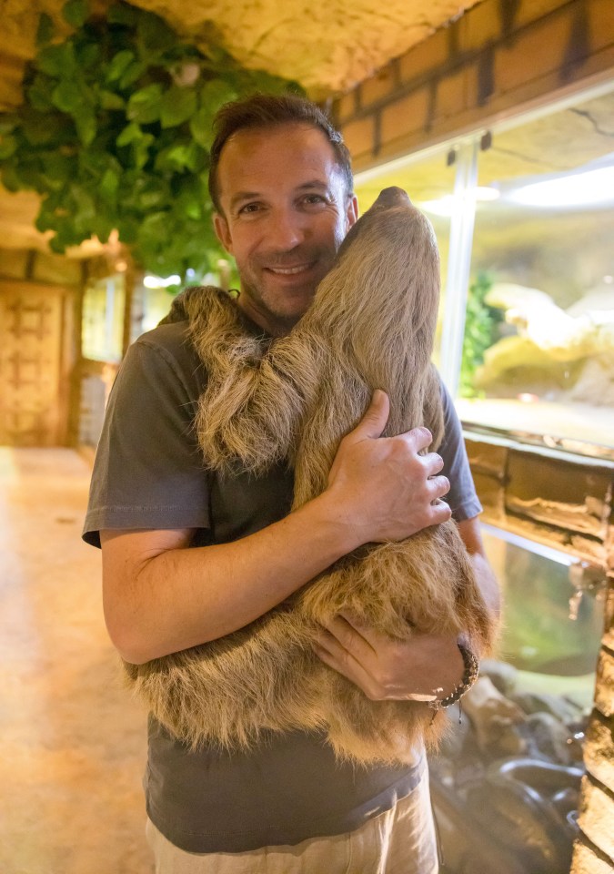 Azzurri icon Del Piero, known for his super-fast finishing, was happy to be snapped with a sloth, known for its super-slow lifestyle