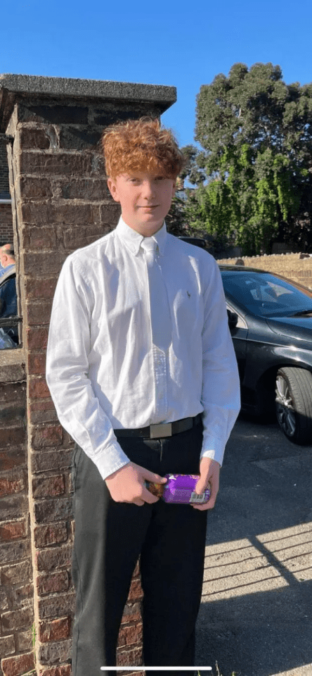 Harry Pitman, 16, was killed by Primrose Hill in Camden, London, on New Year’s Eve