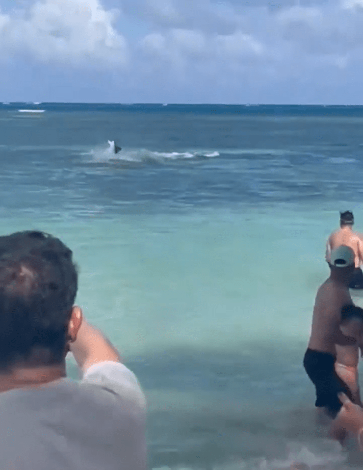 Holidaymakers watched from the shore as a shark thrashed around in the water