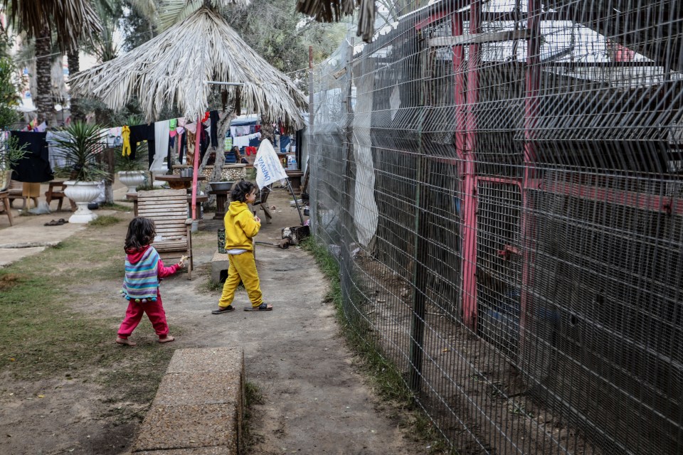 Plastic tents, washing lines and multiple families have joined the starving animals in Rafah zoo