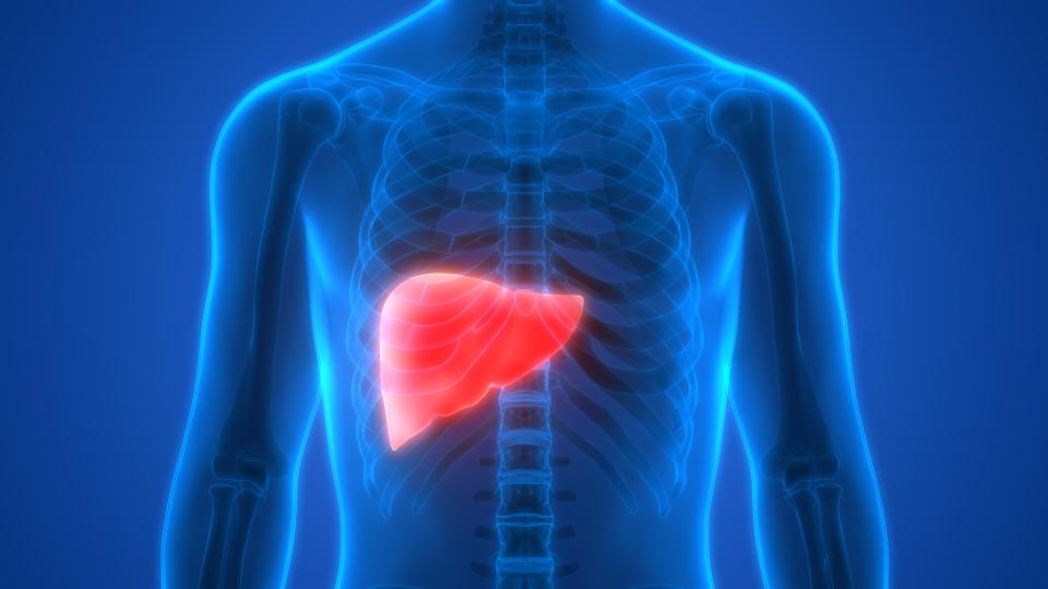 Millions of people may have liver damage without knowing it