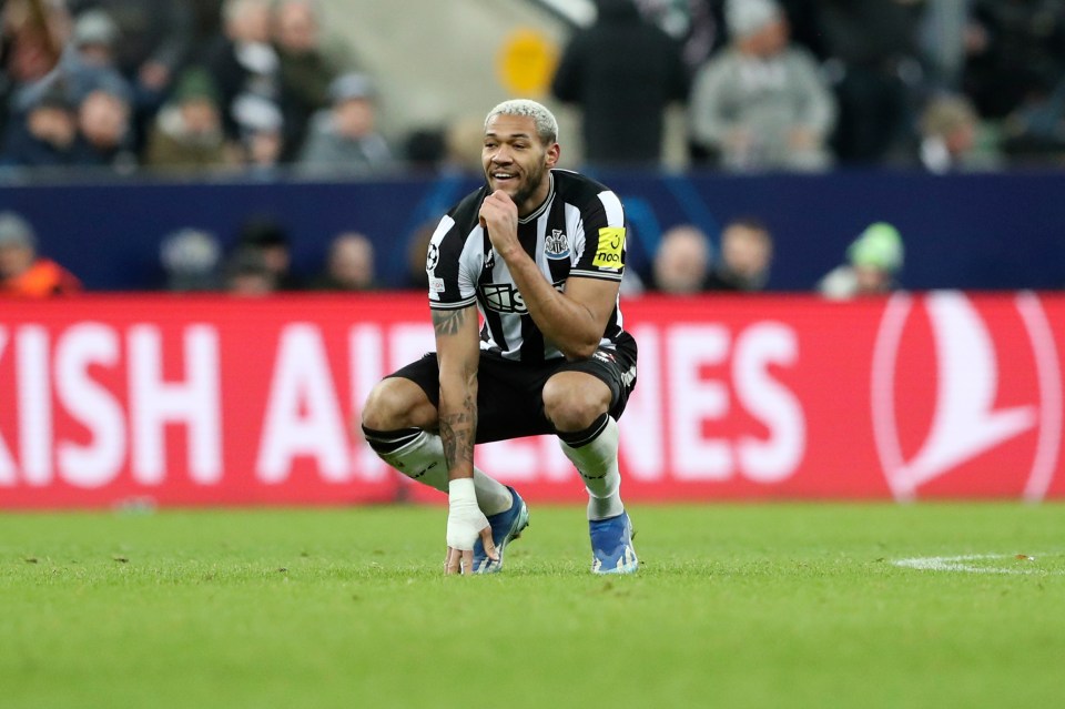 Newcastle’s Joelinton will be out for the rest of the season after having surgery