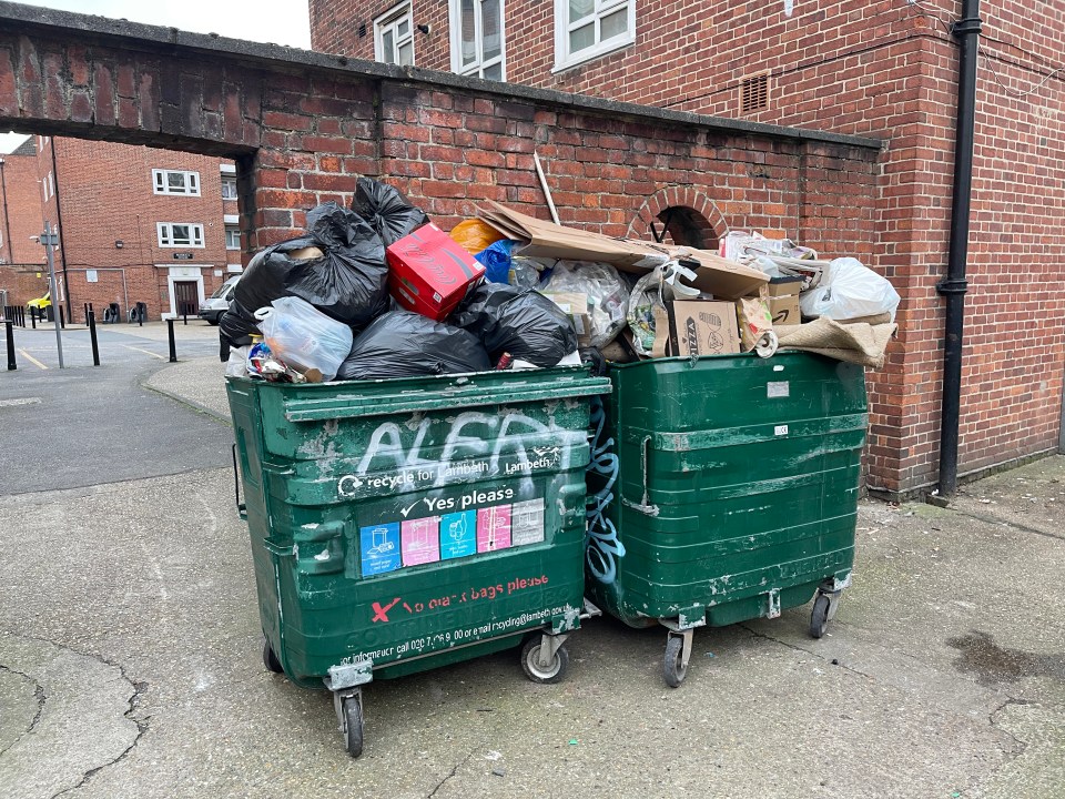 Mehmet says the bins (pictured) should only be used by residents on the estate