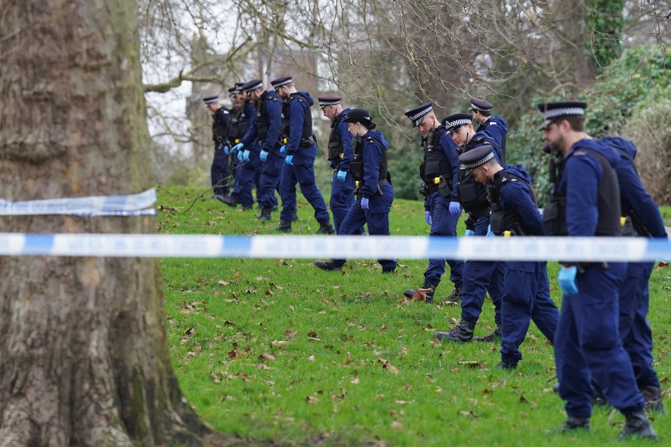 Cops are seen scouring the area for clues