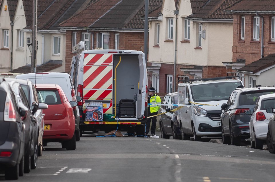 The two boys were attacked in Ilminster Avenue, in Knowle West, south Bristol