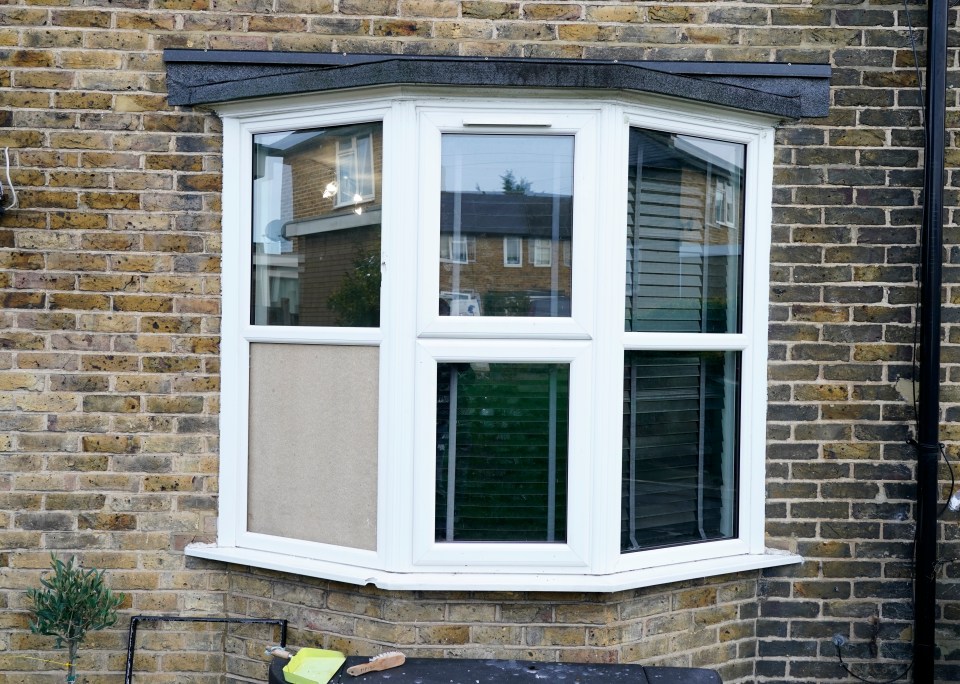 Vigilantes smashed the windows of a home in London as they believe the owners killed an XL bully dog. The owners denied it