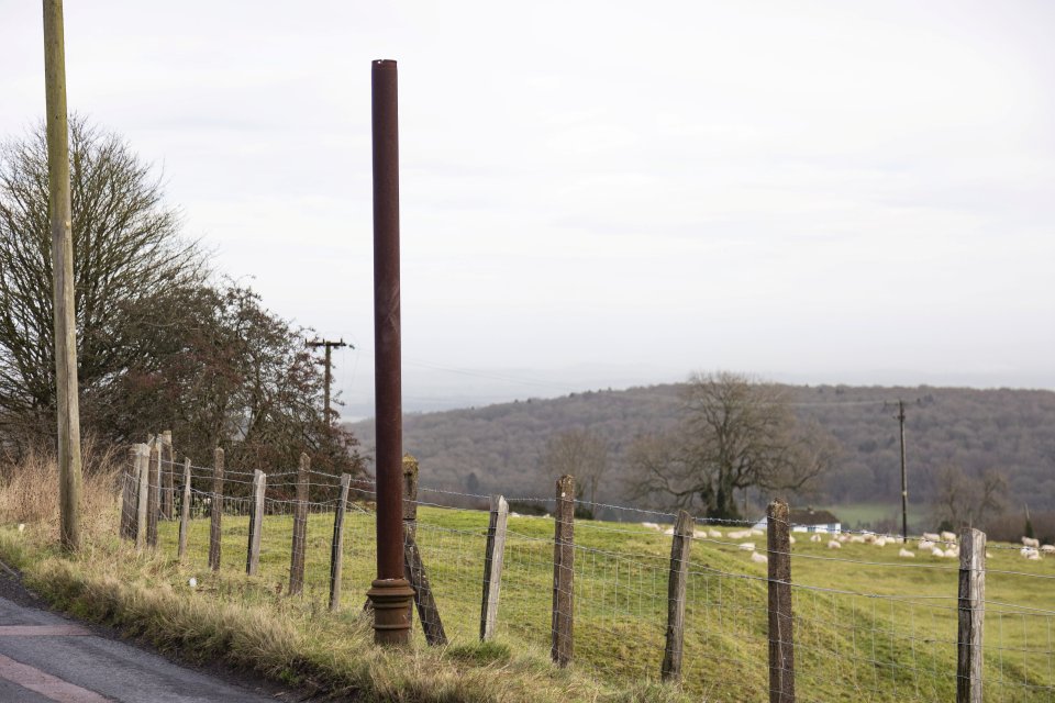 The pole has become an unexpected hit with tourists on TripAdvisor