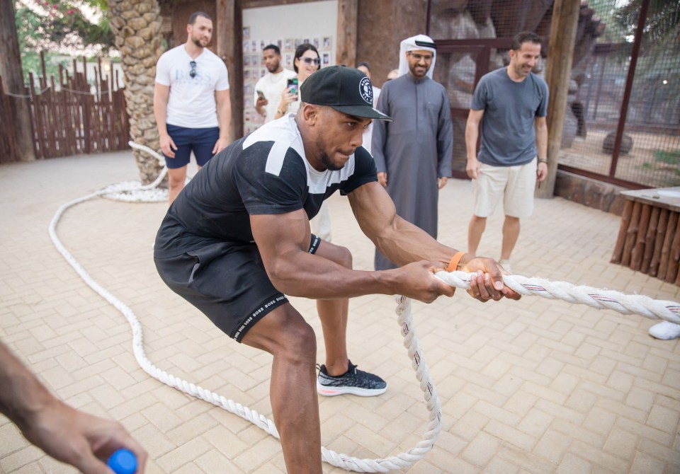 Anthony Joshua strained seriously but still came a distant second in his one-one-one with the liger at the exclusive zoo