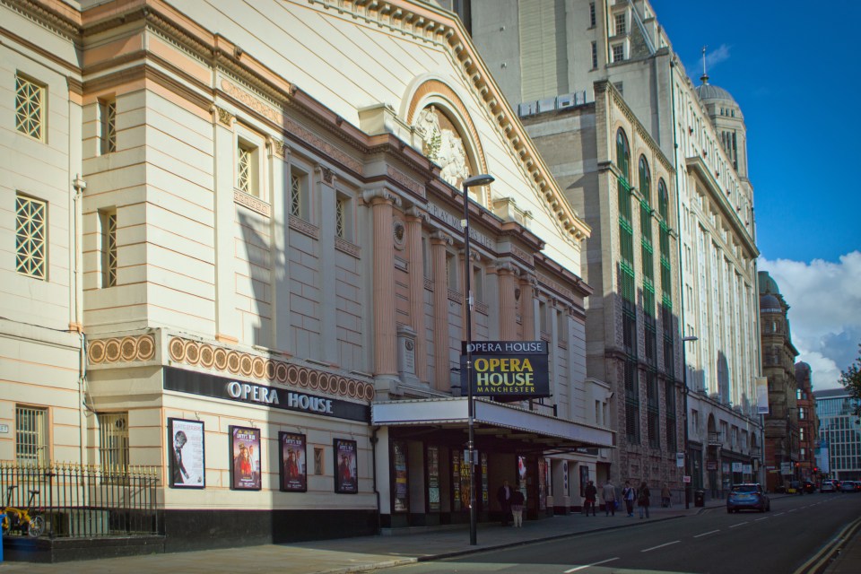 A brawl during a performance of Swan Lake left one fan with a broken eye socket