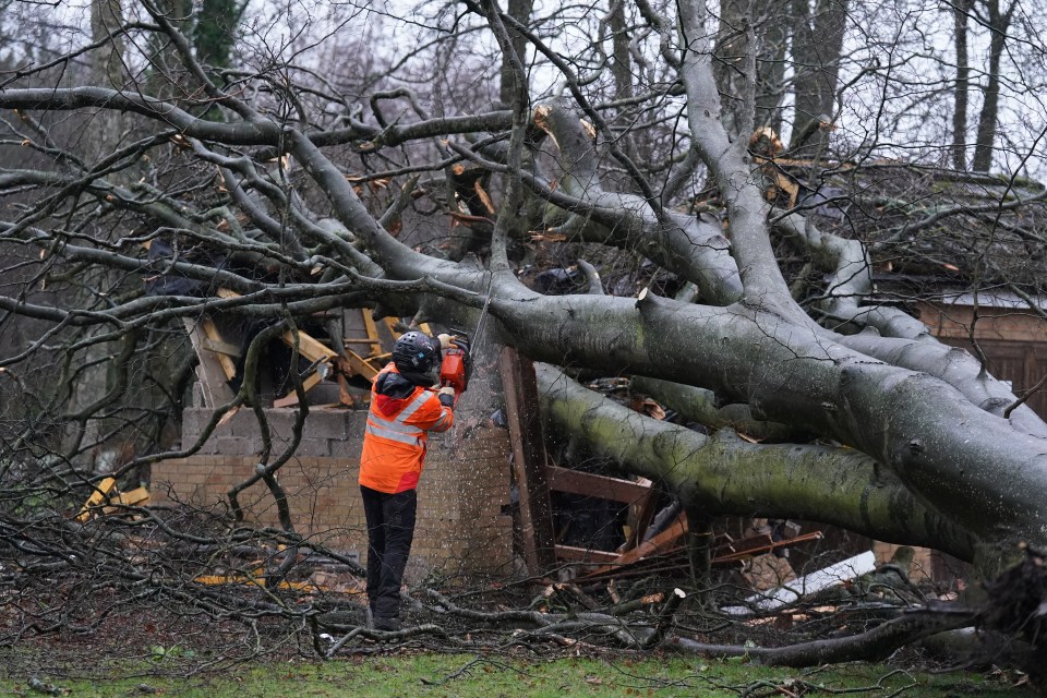 Workers remove a tree that fell on an electricity substation on the Kinnaird estate in Larbert