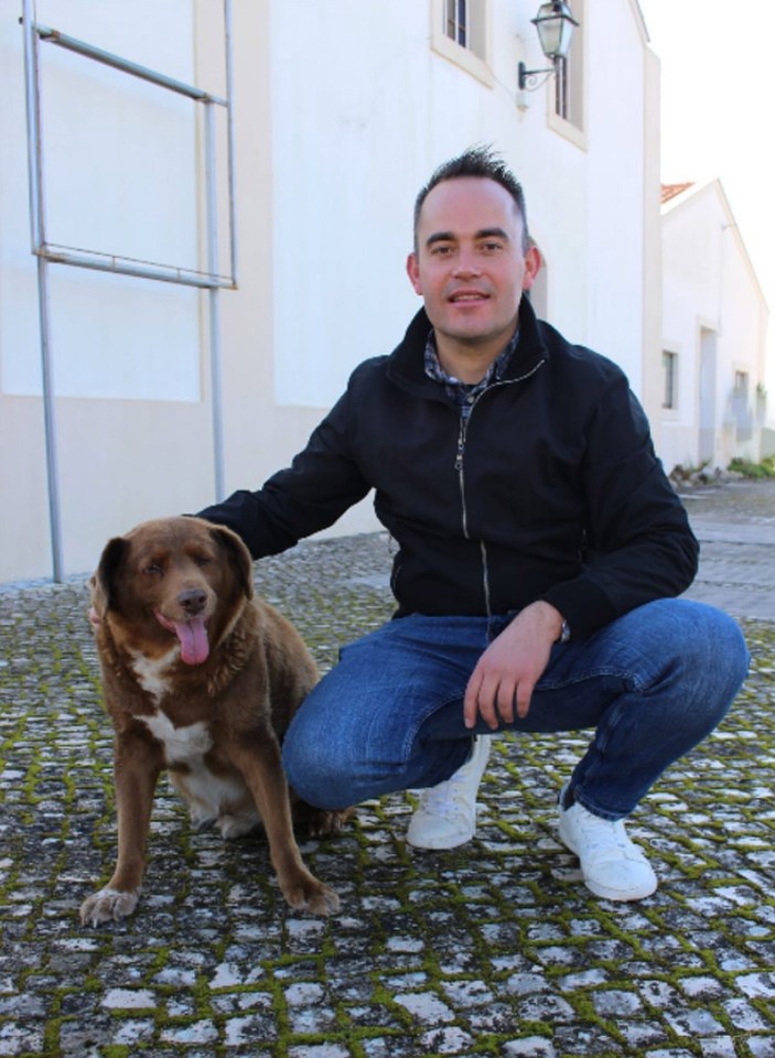 His owner Leonel Costa has alleged pet food giants are conspiring against Bobi