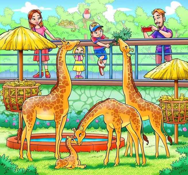 Can you see a monkey hiding in the giraffe's zoo enclosure?