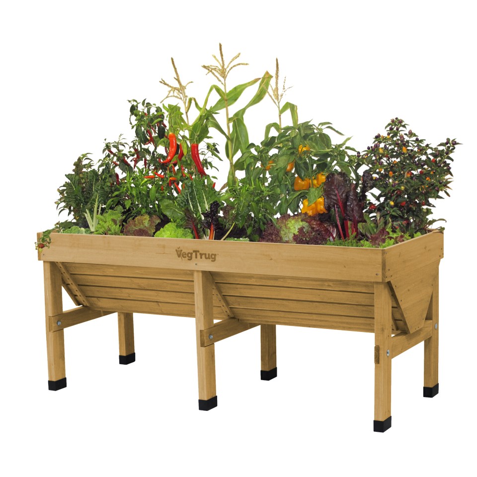 The VegTrug raised wooden planter is up for grabs.