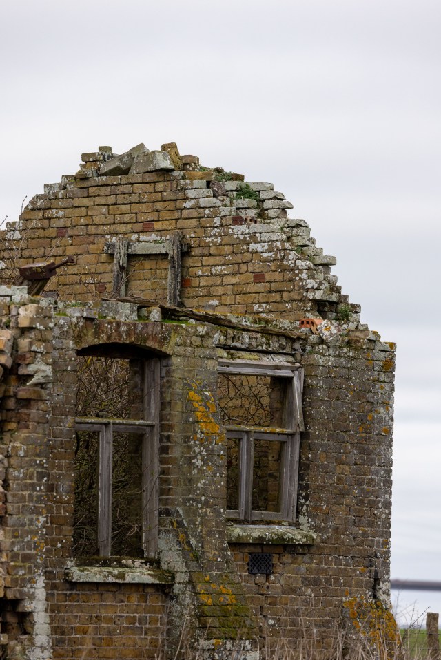 Can you spot the elusive owl hiding somewhere in this abandoned building?