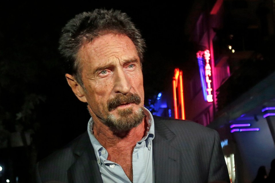 Anti-virus pioneer John McAfee likened Brians 2 to a 'Hilton' hotel