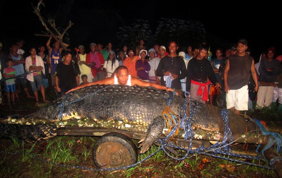 Lolong is the world's biggest crocodile