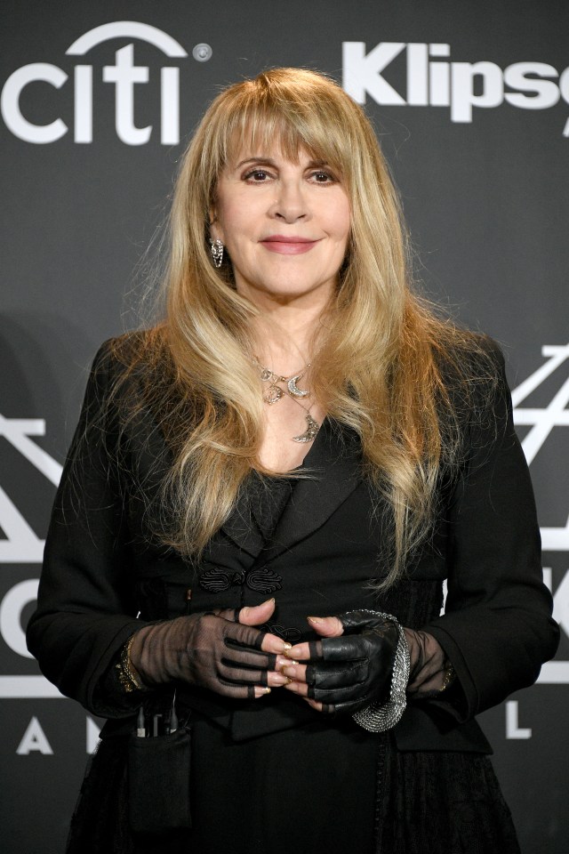 Stevie’s last album with Fleetwood Mac was the 2003 project Say You Will