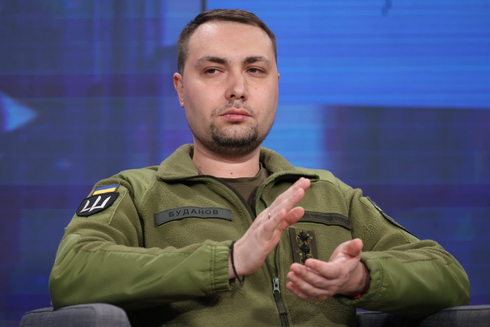 Top Ukrainian spy chief Lt Gen Budanov claimed that Navalny died of natural causes