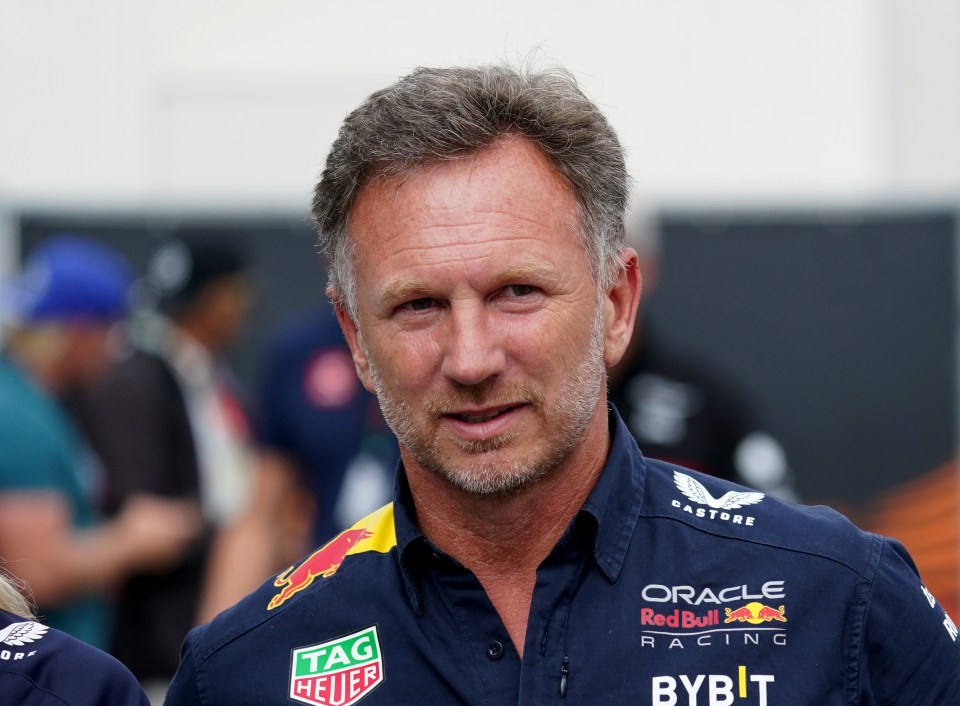 Christian Horner, pictured last August, has been accused of 'inappropriate behaviour' towards a female colleague