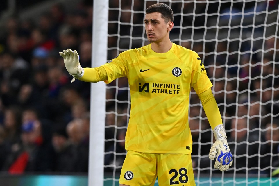 Petr Cech fears Djordje Petrovic could be hurt by Mauricio Pochettino’s philosophy