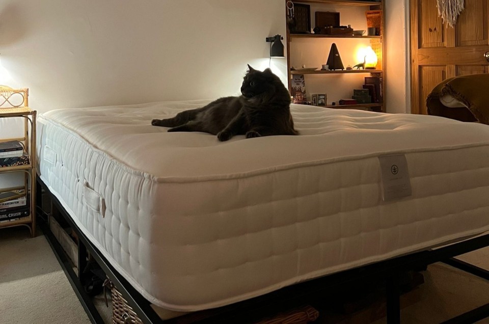 best-mattress