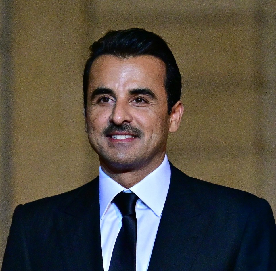 Sheik Tamim Bin Hamad Al Thani took over the position of Emir from his father