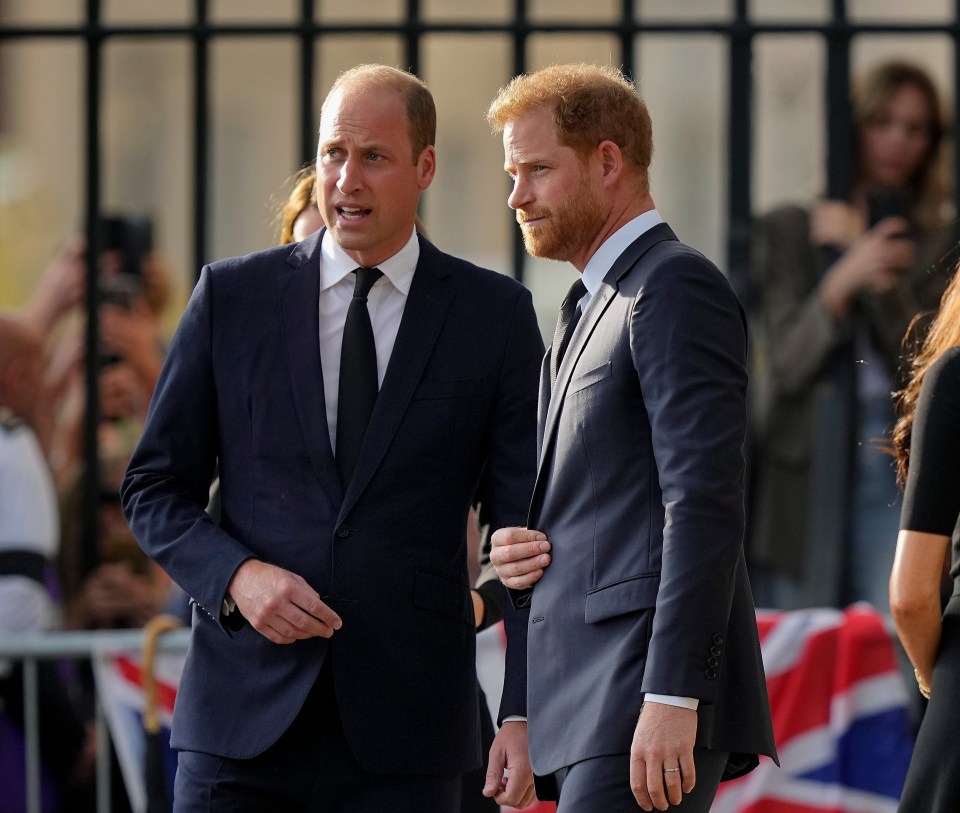 A royal expert has revealed why William didn't meet Harry during his trip